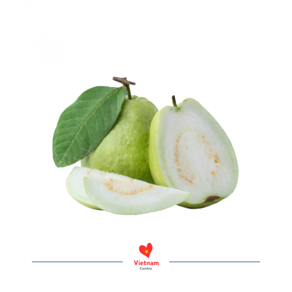 Ổi lê Phúc Lợi Hà Nội - Image 2